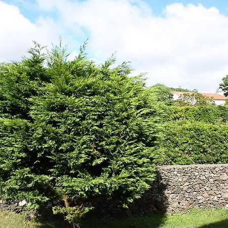 Apartamento Mar E Serra Ponta Delgada Eksteriør billede